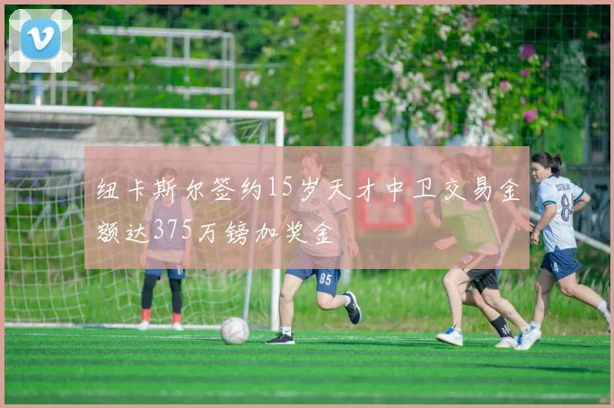 纽卡斯尔签约15岁天才中卫交易金额达375万镑加奖金