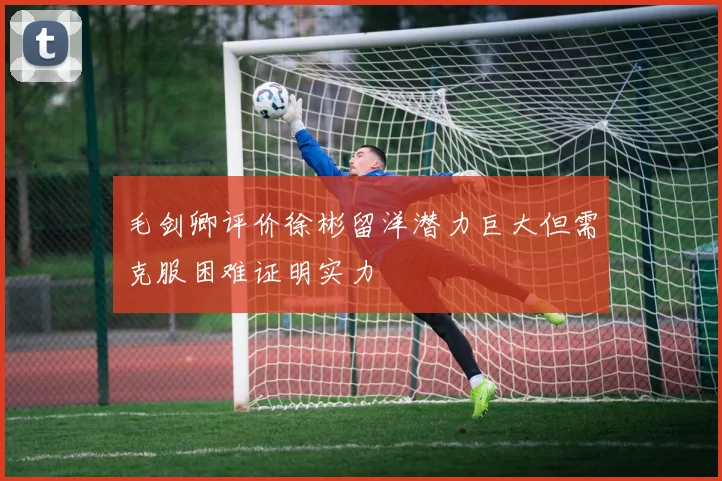 毛剑卿评价徐彬留洋潜力巨大但需克服困难证明实力